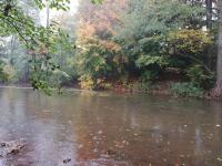 453 031 - Labe 35 P - pod přehradou Les Království